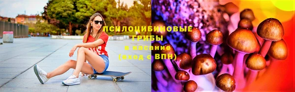 эйфоретик Ельня