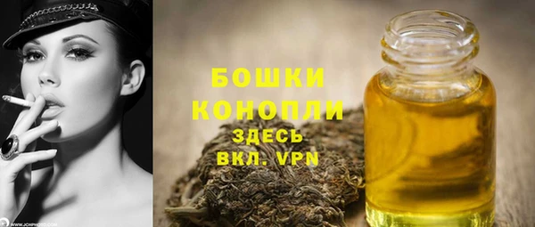 эйфоретик Ельня