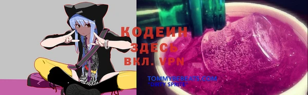 ПСИЛОЦИБИНОВЫЕ ГРИБЫ Елабуга