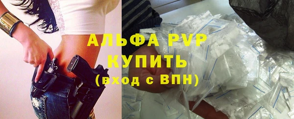 ПСИЛОЦИБИНОВЫЕ ГРИБЫ Елабуга