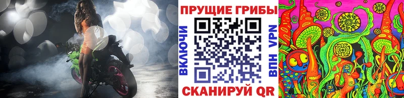 Галлюциногенные грибы MAGIC MUSHROOMS  Купить закладки  Кулебаки 